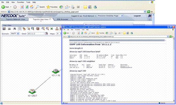 Output from View OSPF Information tool from Cisco