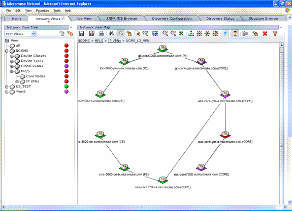 Screenshot of network view showing layer 3 IP VPNs for a particular customer