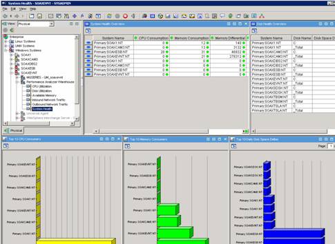 Screenshot of Capacity Reports in IBM Tivoli Performance Analyzer